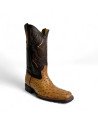 Bota Vaquera de Caballero Horma Rodeo Avestruz Umber